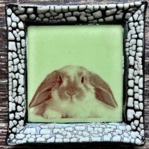 Small White Crackle Square Plate - Crouching Rabbit - Green