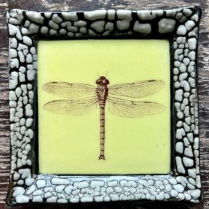 Small White Crackle Square Plate - Dragonfly - Yellow