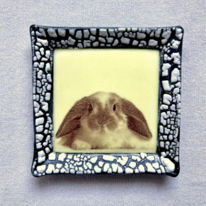 Small White Crackle Square Plate - Crouching Rabbit - Yellow